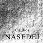 Nasedej